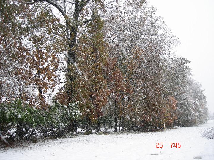 NJ_NY 232.JPG